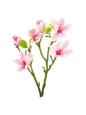 Flori artificiale magnolie roz